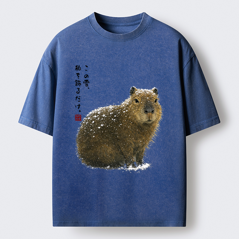 Washed Capybara T-Shirt for Daily Wear