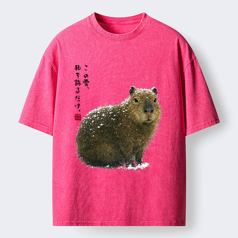 Kyoto-Lion Capybara Washed Tee on Sale