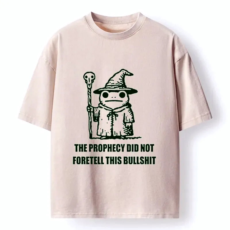Kyoto-Lion Funny Meme Wizard Frog Weird Prophecy Washed T-Shirt