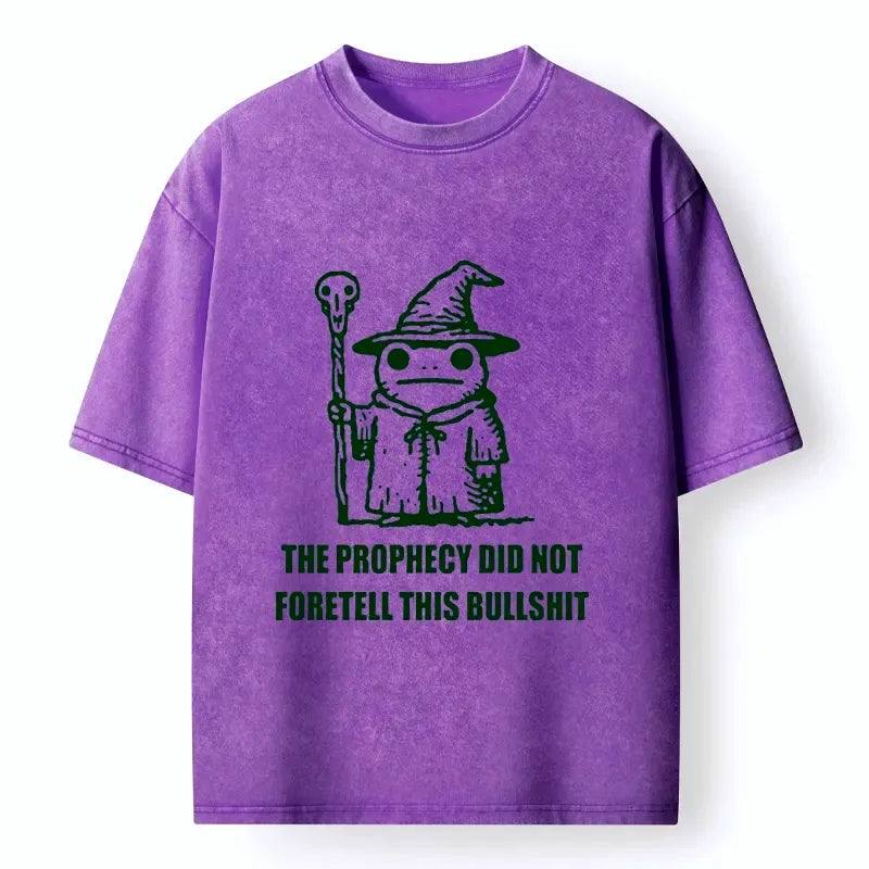 Funny Wizard Frog Washed T-Shirt for Daily Wear