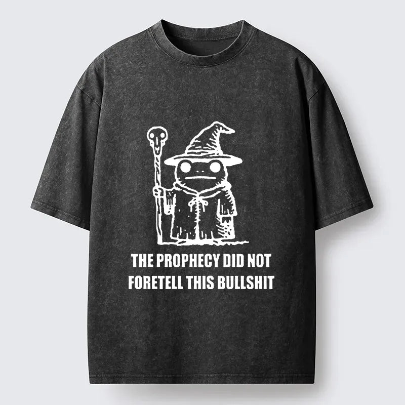 Funny Wizard Frog Washed T-Shirt for Daily Wear