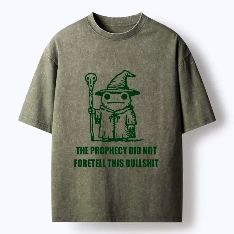 Funny Wizard Frog Washed T-Shirt for Daily Wear