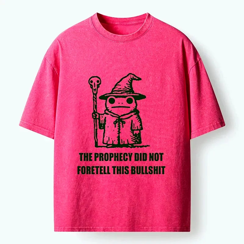 Funny Wizard Frog Washed T-Shirt for Daily Wear