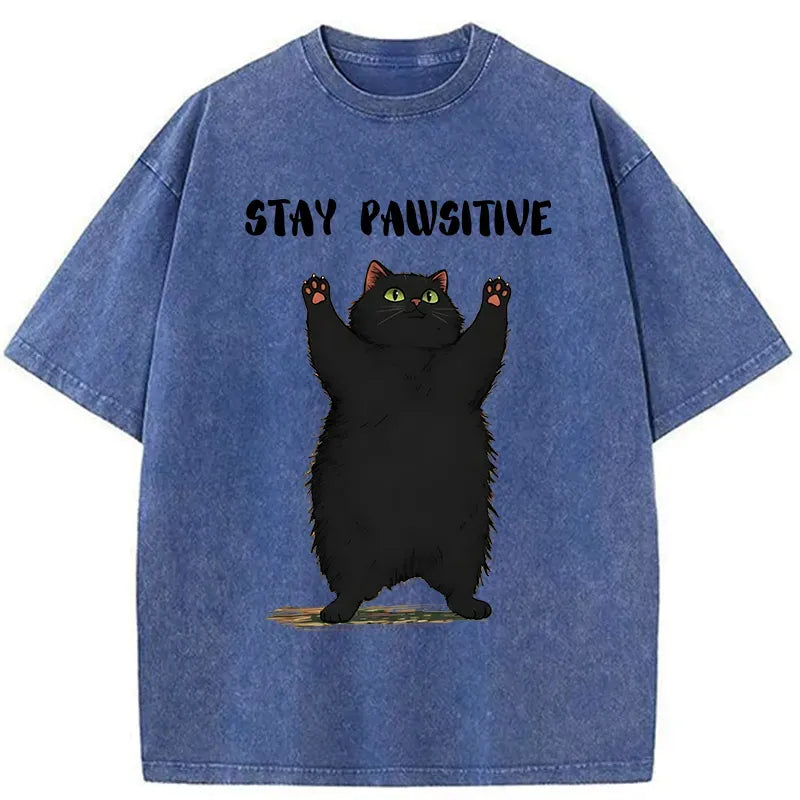 Kyoto-Lion Cat Stay Pawsitive Washed T-Shirt