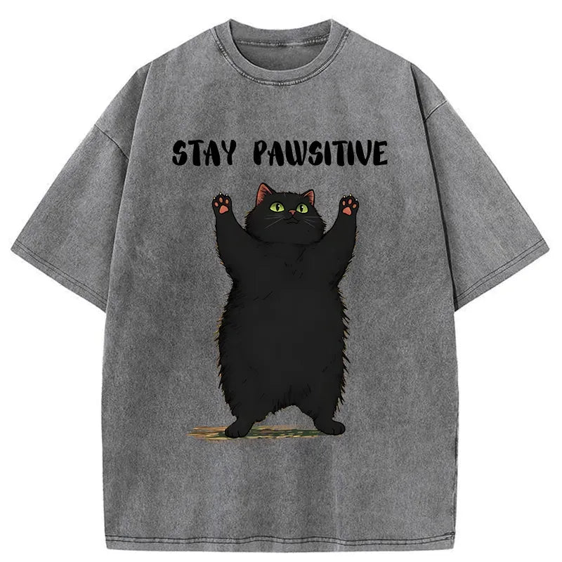 Kyoto-Lion Cat Stay Pawsitive Washed T-Shirt