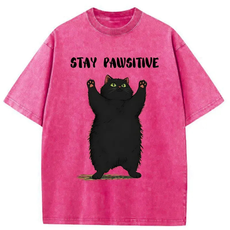 Kyoto-Lion Cat Stay Pawsitive Washed T-Shirt