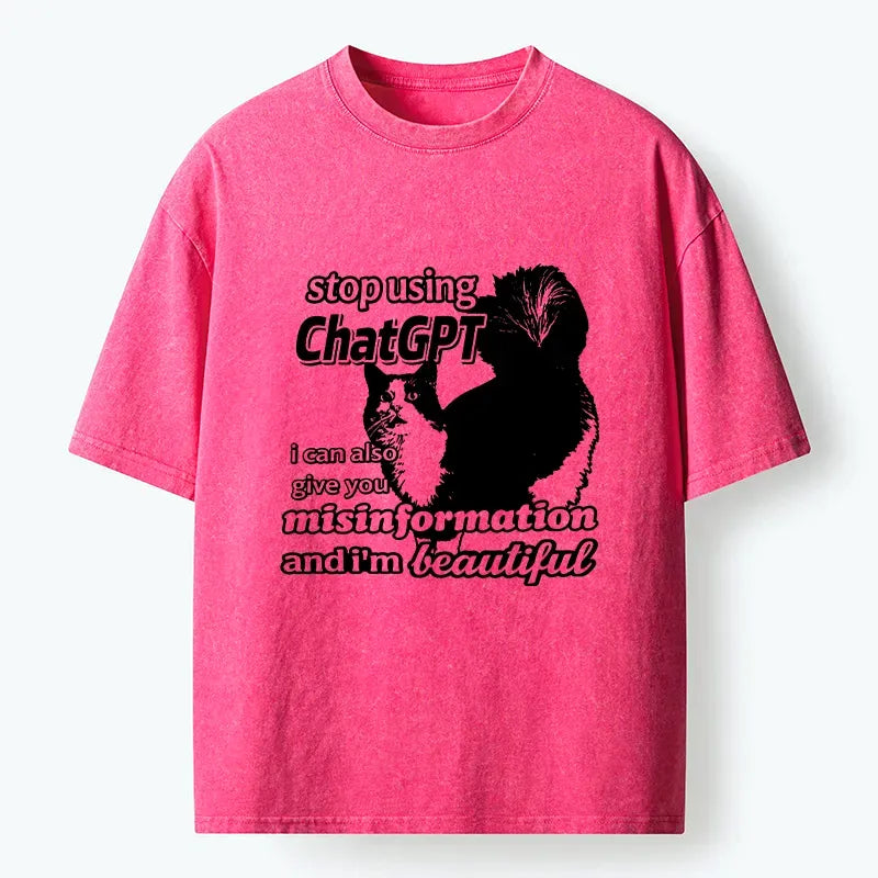 Kyoto-Lion Stop Using Chatgpt Washed T-Shirt