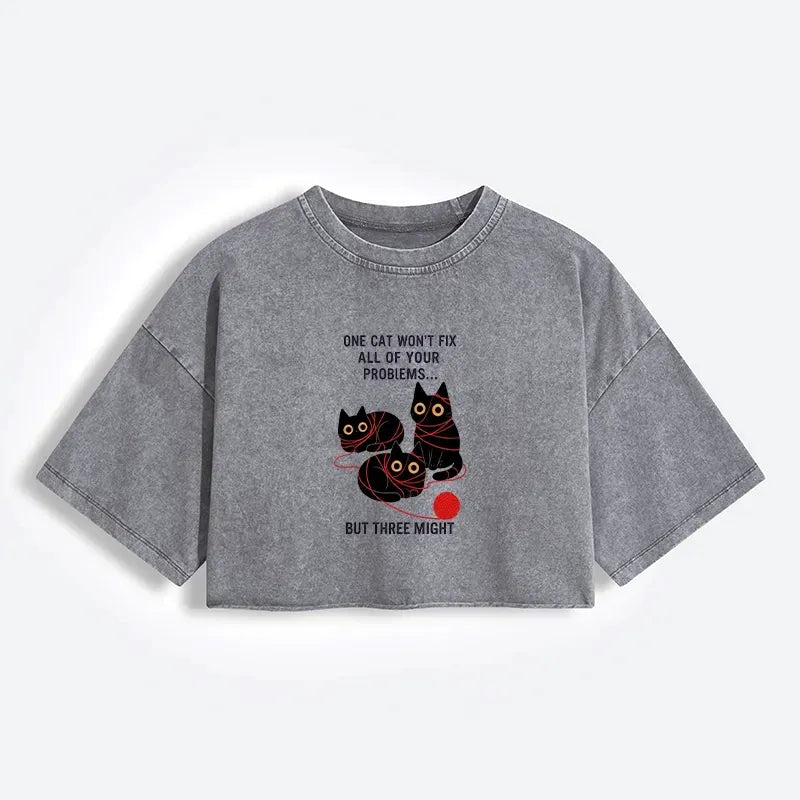 Kyoto-Lion Three Cats Fix All Problems Women's Washed Crop T-Shirt