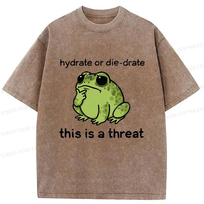 Japanese Vintage Frog Tee for Daily Wear