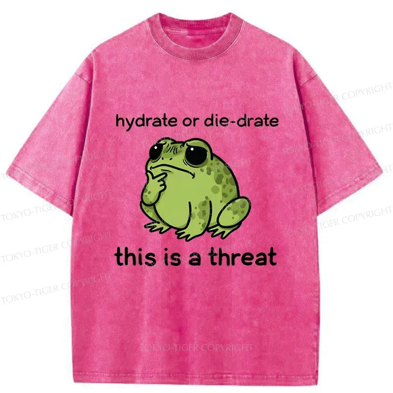 Japanese Vintage Frog Tee for Daily Wear