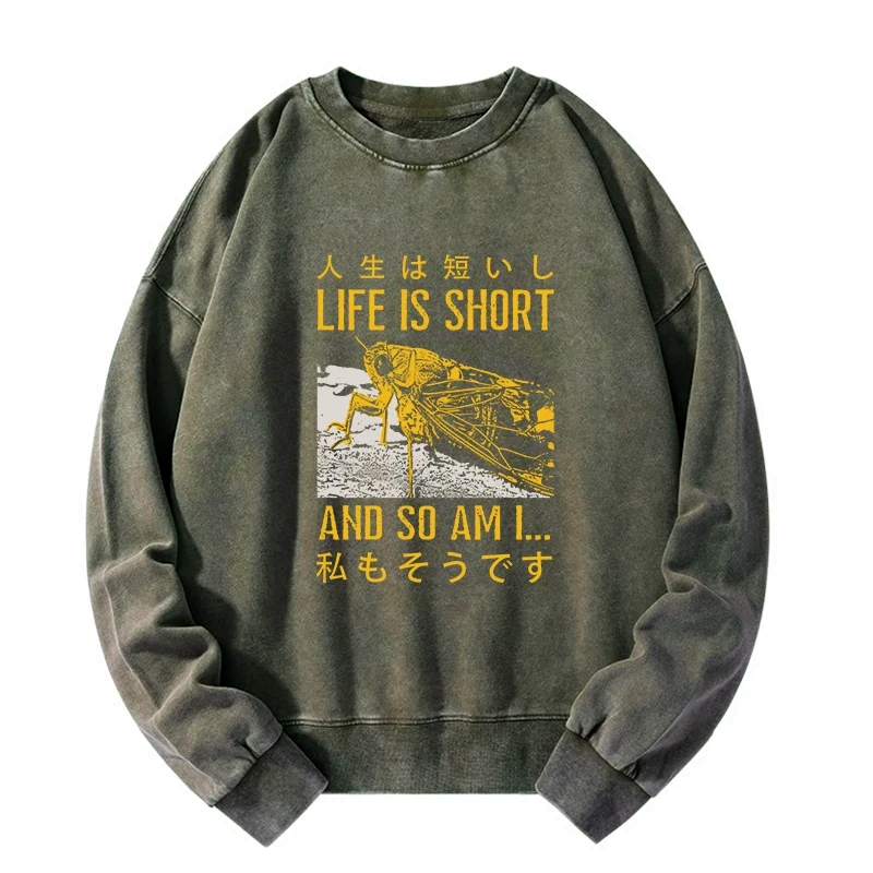 kyoto lion unisex washed sweatshirt