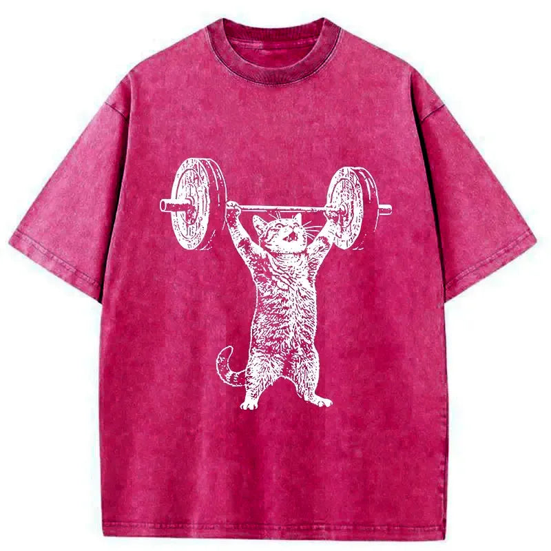 Kyoto-Lion Kitten Workout Gym Funny Washed T-Shirt