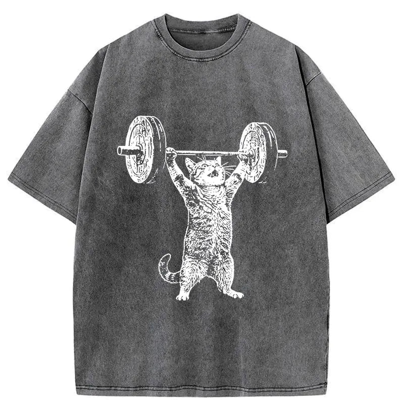 Kyoto-Lion Kitten Workout Gym Funny Washed T-Shirt