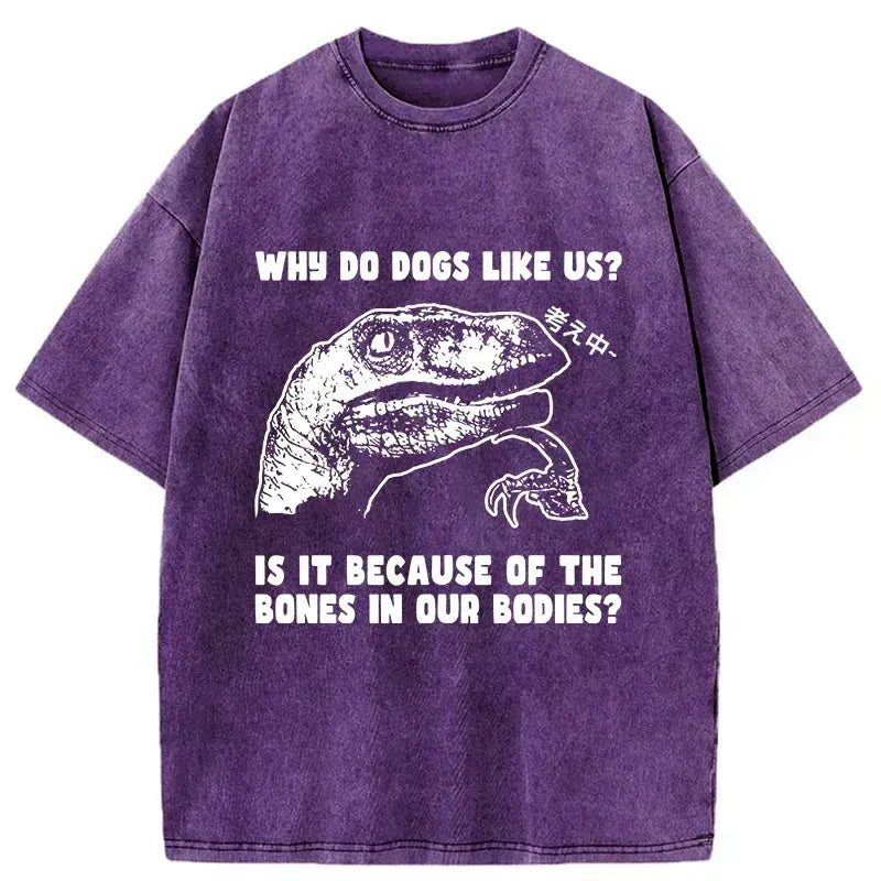 Kyoto-Lion Thinking Philosoraptor Washed T-Shirt