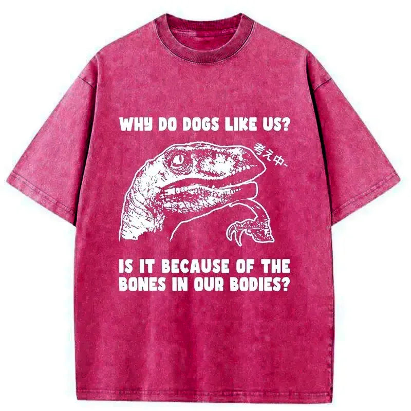 Kyoto-Lion Thinking Philosoraptor Washed T-Shirt