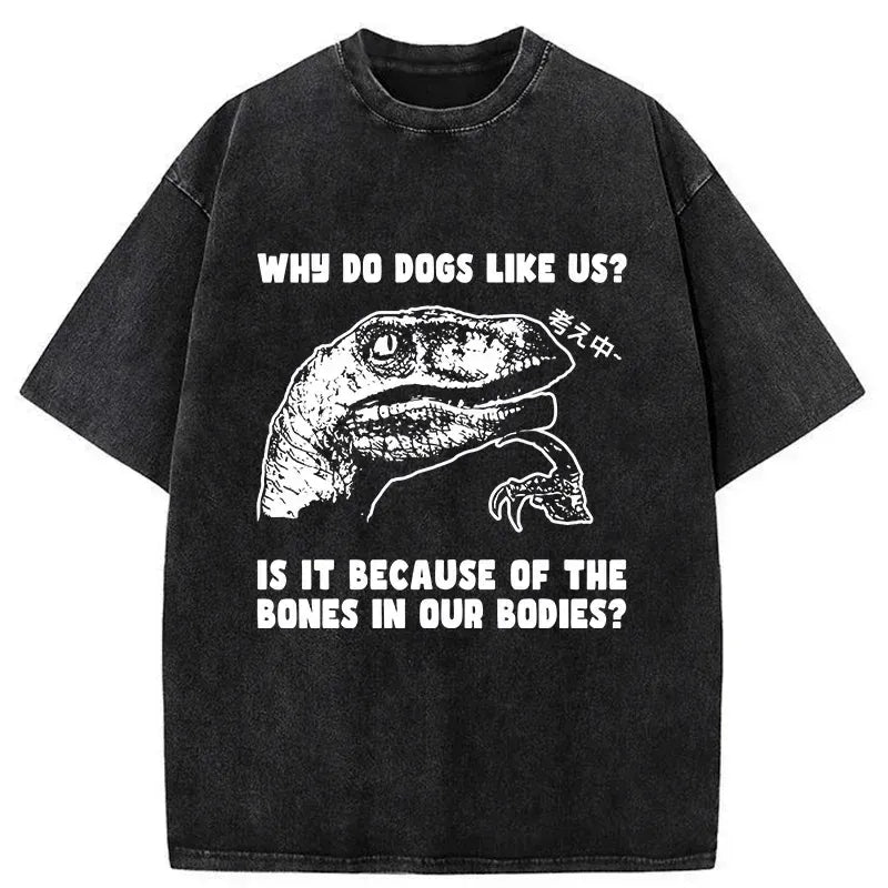 Kyoto-Lion Thinking Philosoraptor Washed T-Shirt