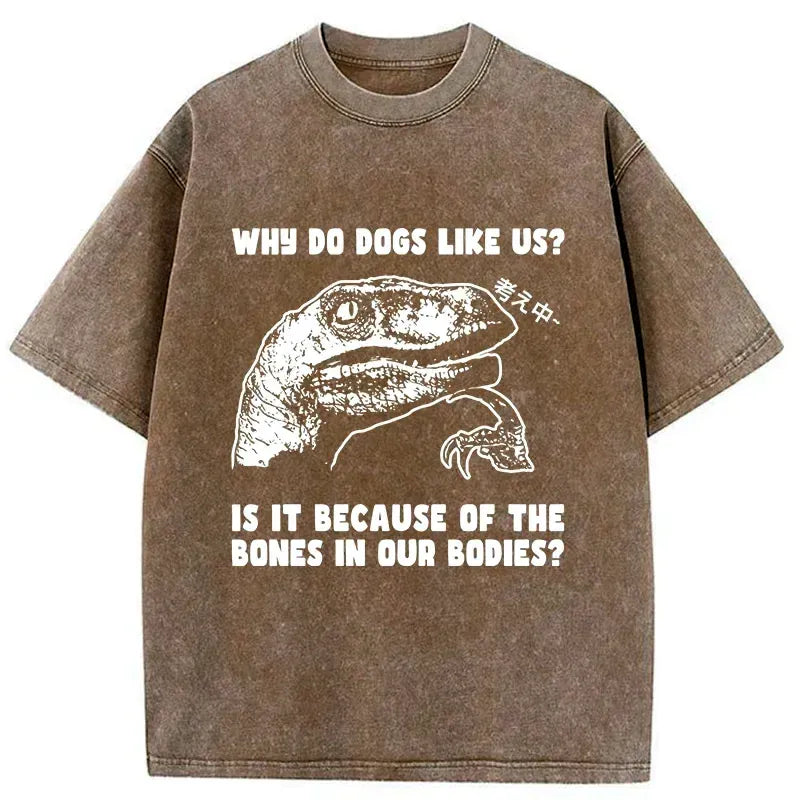 philosoraptor funny t-shirt for anime convention