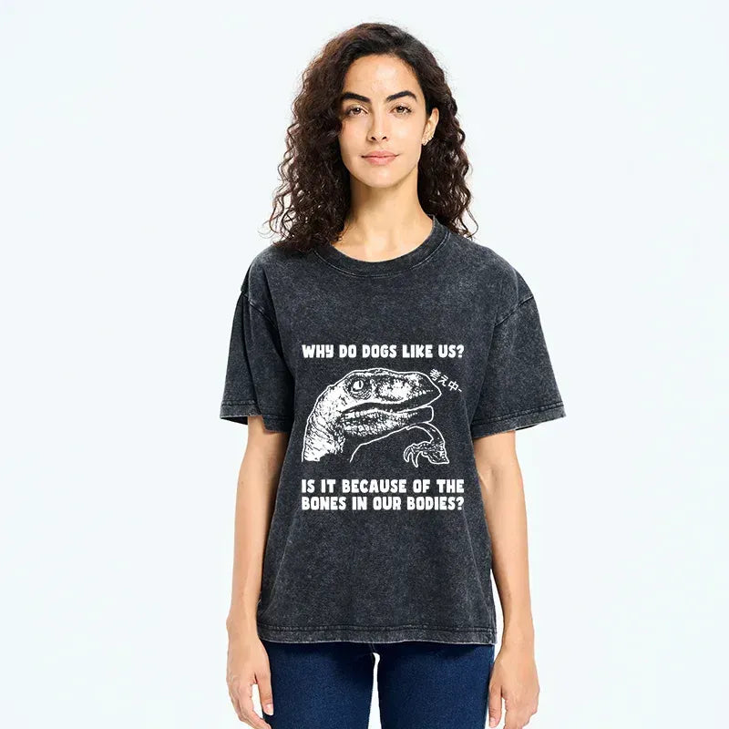 Kyoto-Lion Thinking Philosoraptor Washed T-Shirt