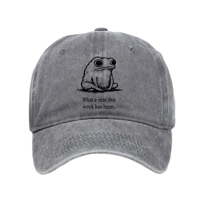 Kyoto-Lion This Week Feels Like A Whole Year Washed Cap