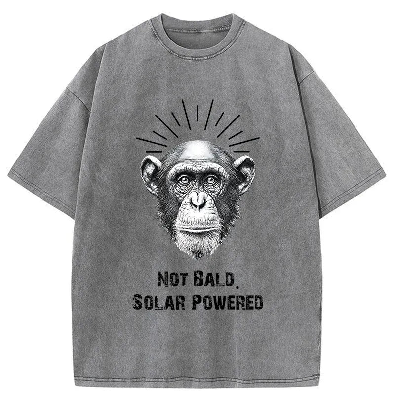 Kyoto Lion Washed T-Shirt for Daily Wear
