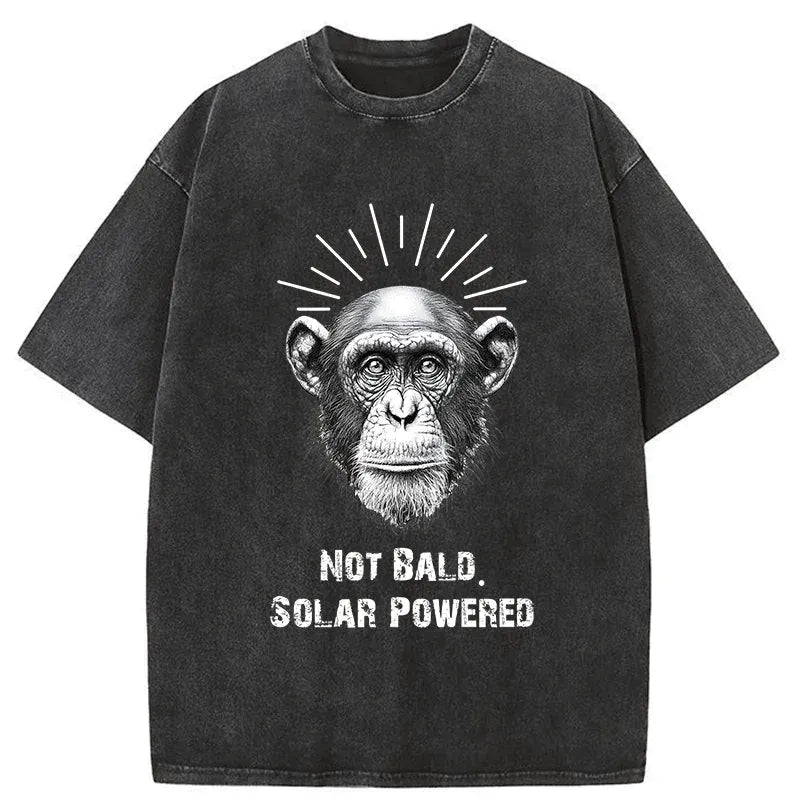Kyoto Lion Washed T-Shirt for Daily Wear