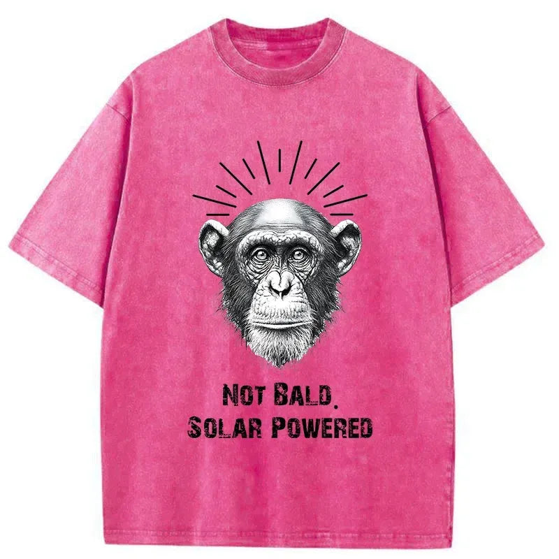 Kyoto-Lion Human Body Solar Panel Washed T-Shirt