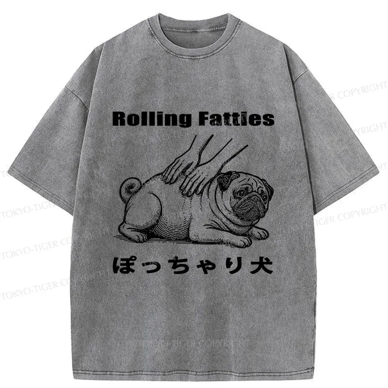 Kyoto-Lion Chubby Dog Washed T-Shirt