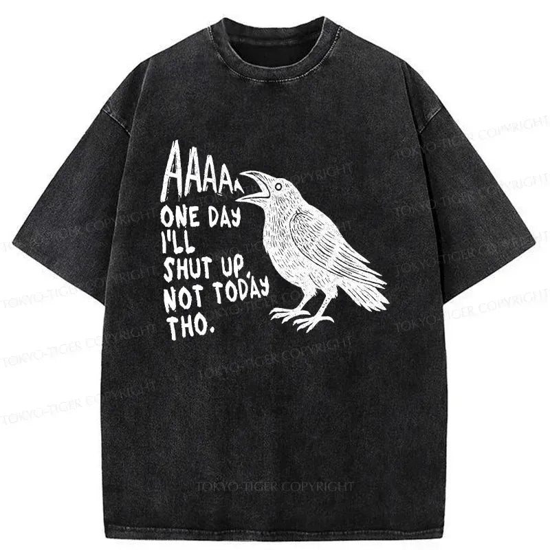 Funny Crow Japan Washed T-Shirt