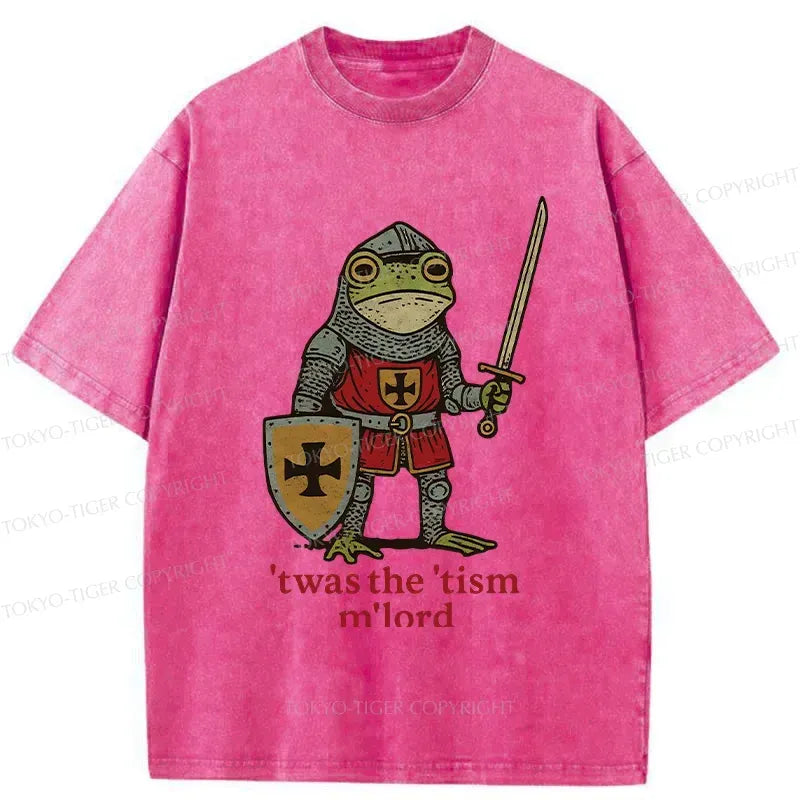 Kyoto-Lion Frog Knight Funny Washed T-Shirt