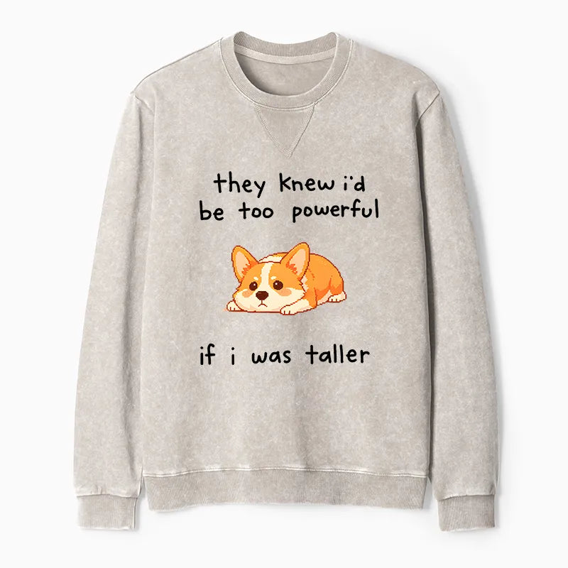 Kyoto-Lion Funny Short Dog Joke Washed Terry Sweatshirt