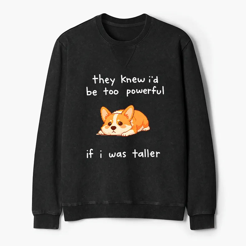 Kyoto-Lion Funny Short Dog Joke Washed Terry Sweatshirt