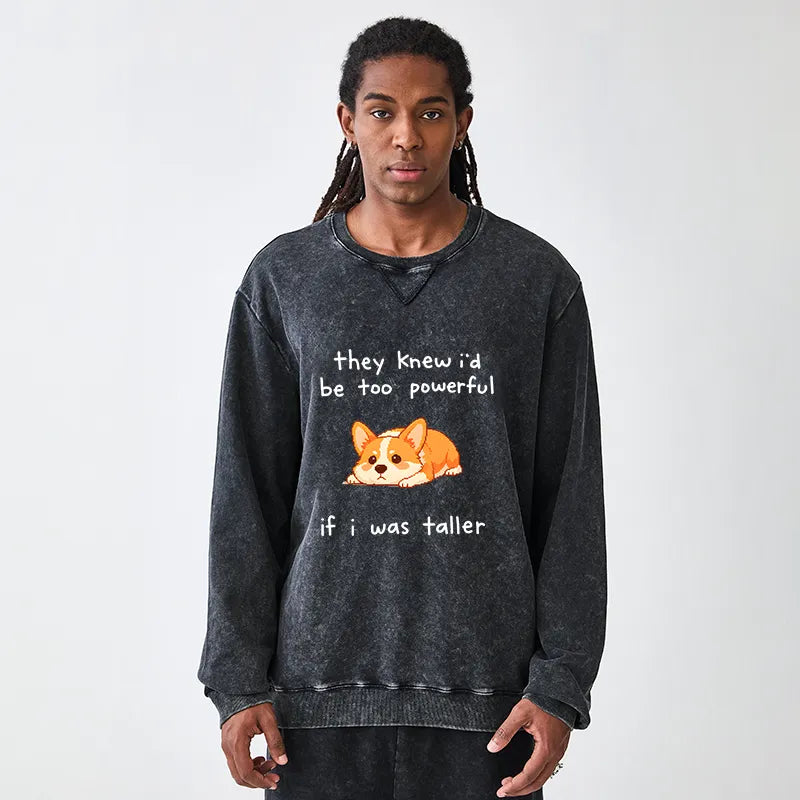 Kyoto-Lion Funny Short Dog Joke Washed Terry Sweatshirt