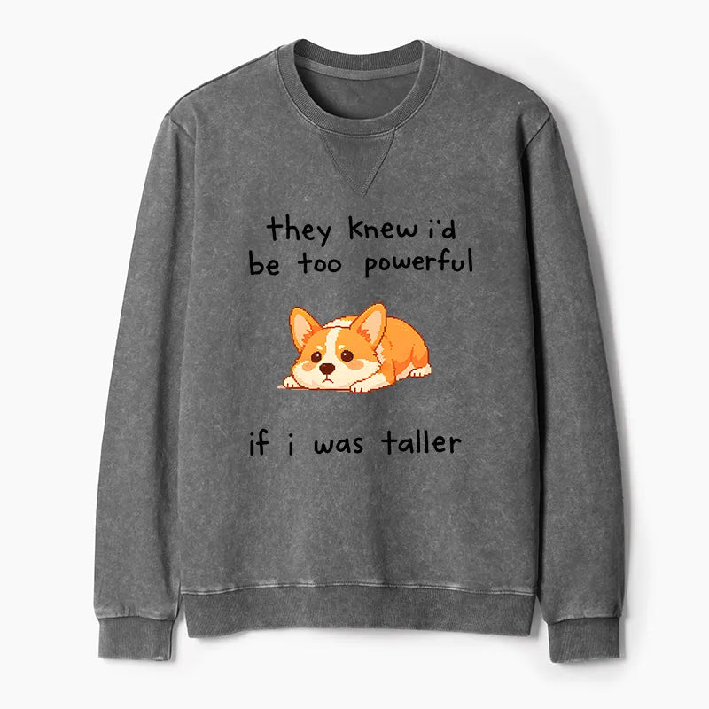 Kyoto-Lion Funny Short Dog Joke Washed Terry Sweatshirt