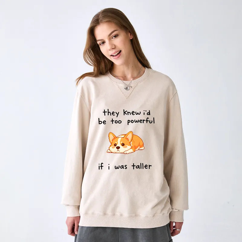 Kyoto-Lion Funny Short Dog Joke Washed Terry Sweatshirt