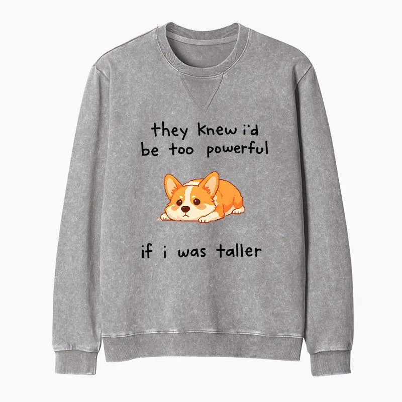 Kyoto-Lion Funny Short Dog Joke Washed Terry Sweatshirt
