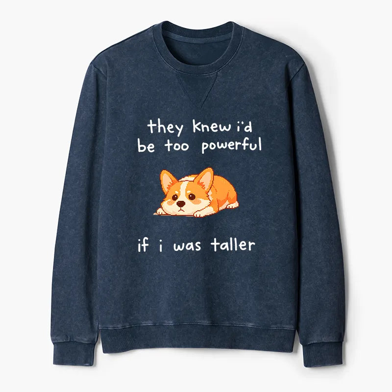 Kyoto-Lion Funny Short Dog Joke Washed Terry Sweatshirt