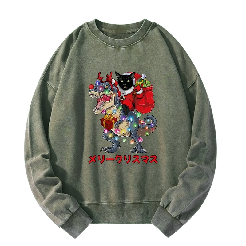 Funny cat dinosaur sweatshirt gift