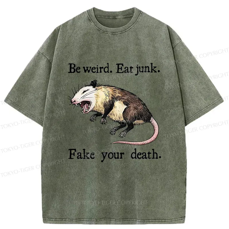 Kyoto-Lion Possum Playing Dead Washed T-Shirt