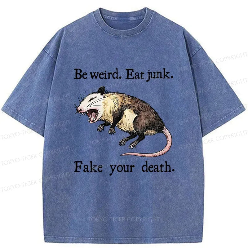 Kyoto-Lion Possum Playing Dead Washed T-Shirt