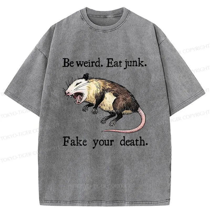 kyoto lion vintage shirt gift idea