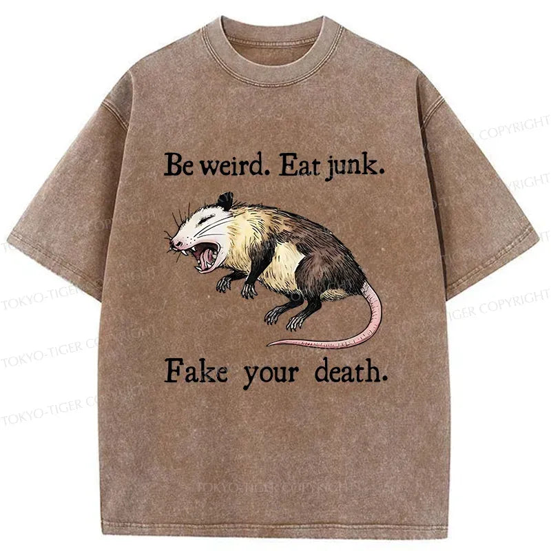 kyoto lion vintage shirt gift idea