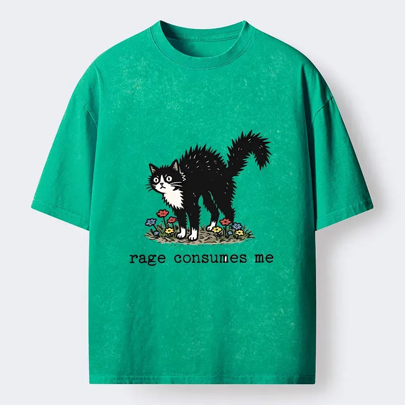Angry Tuxedo Cat Washed Tee Limited Edition
