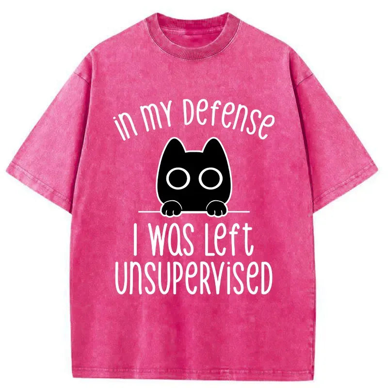 Kyoto-Lion Defending Cat Funny Washed T-Shirt