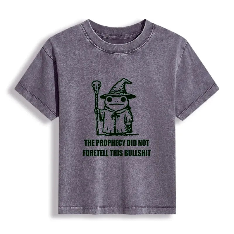Kyoto-Lion Funny Meme Wizard Frog Weird Prophecy Women's Washed T-shirt