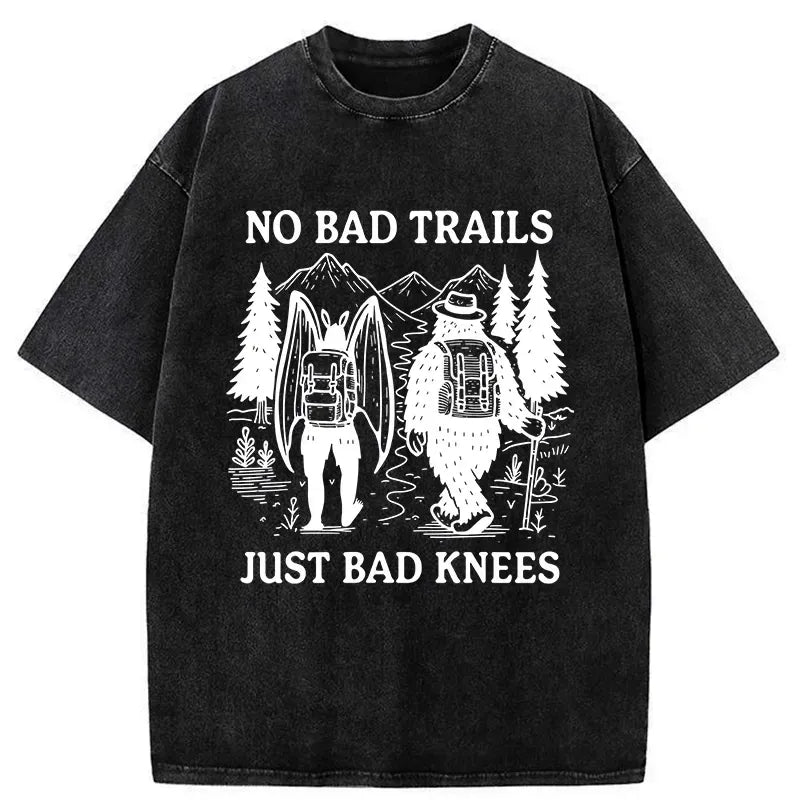 Kyoto Lion washed t-shirt for daily wear