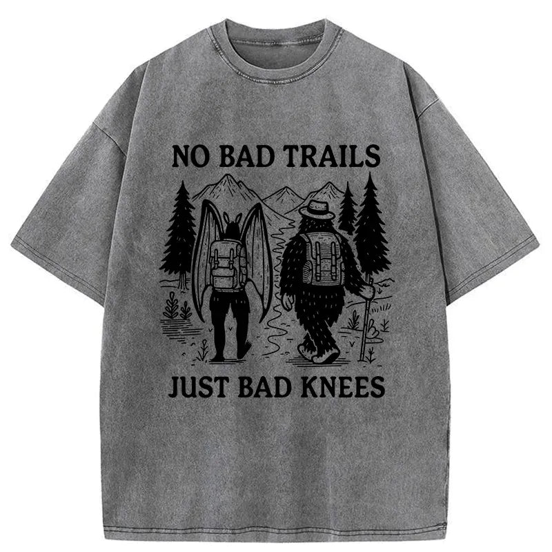 Kyoto Lion washed t-shirt for daily wear
