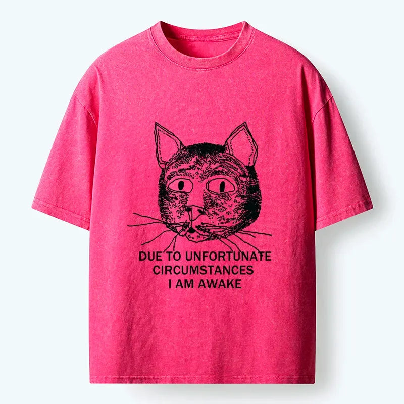 Kyoto Lion Japanese Washed T-Shirt