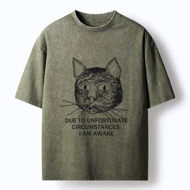 Kyoto Lion Japanese Washed T-Shirt