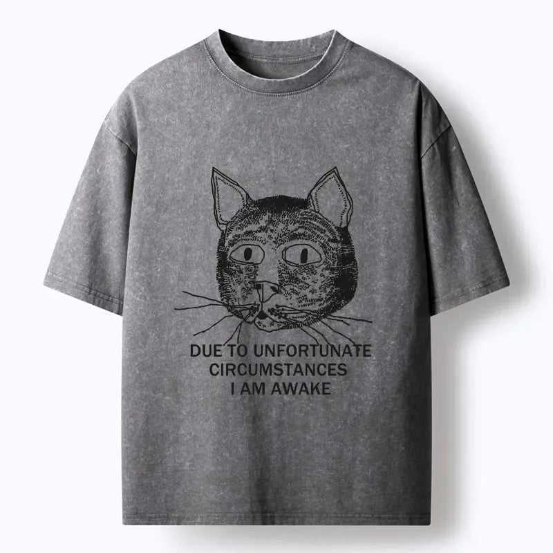 Kyoto-Lion Paying The Price Of Waking Up Washed T-Shirt