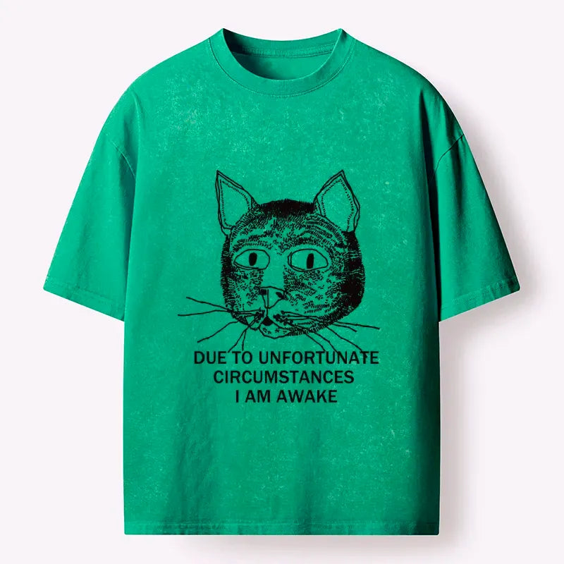 Kyoto-Lion Paying The Price Of Waking Up Washed T-Shirt